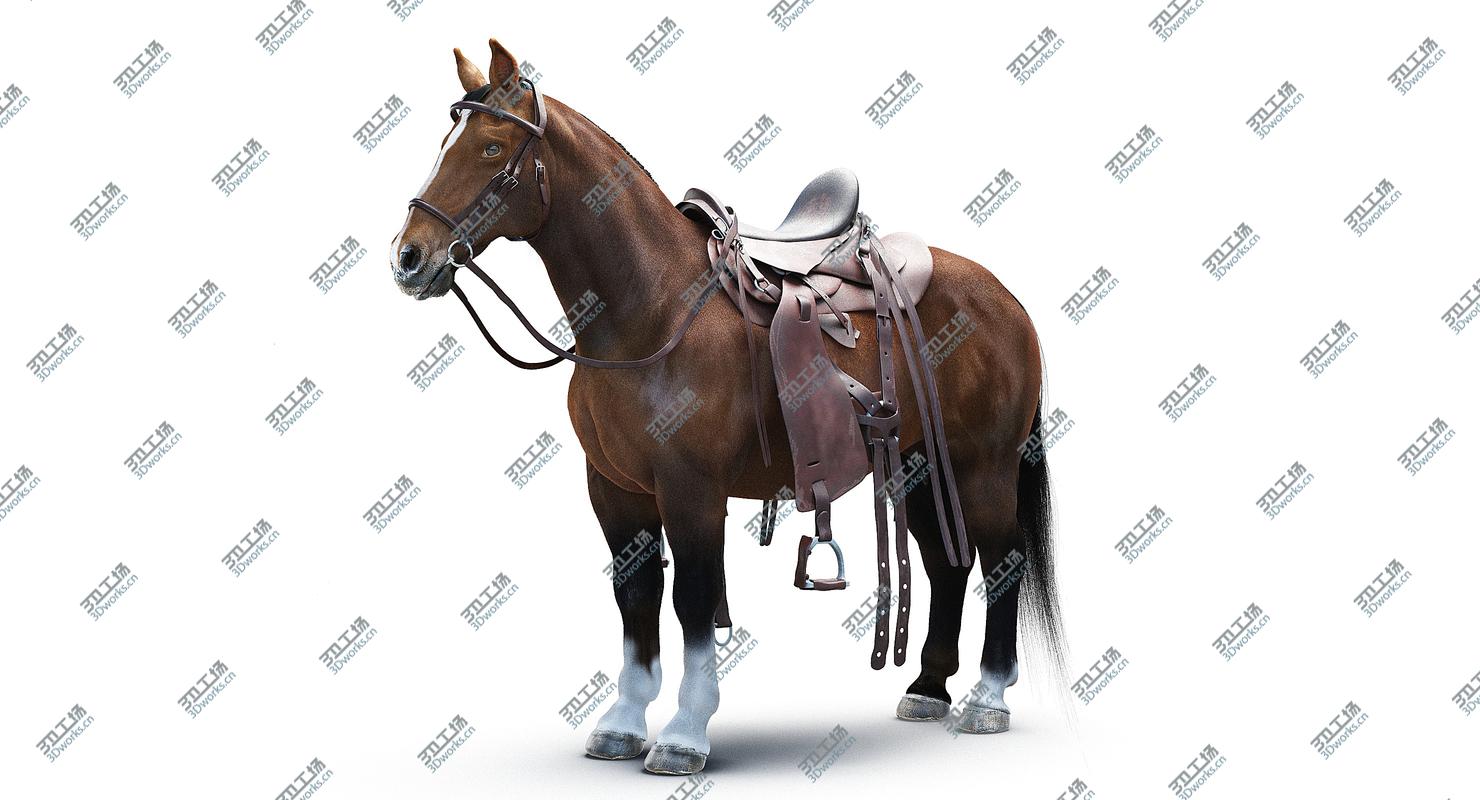 images/goods_img/2021040233/Horse with Saddle/2.jpg